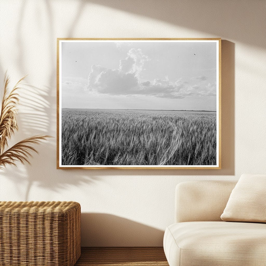 Oklahoma Farm Scene by Dorothea Lange June 1937 - Available at KNOWOL