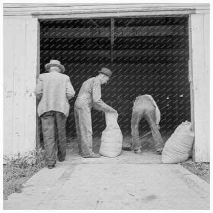 Oklahoma Farmers Prepare Grasshopper Bait June 1937 - Available at KNOWOL