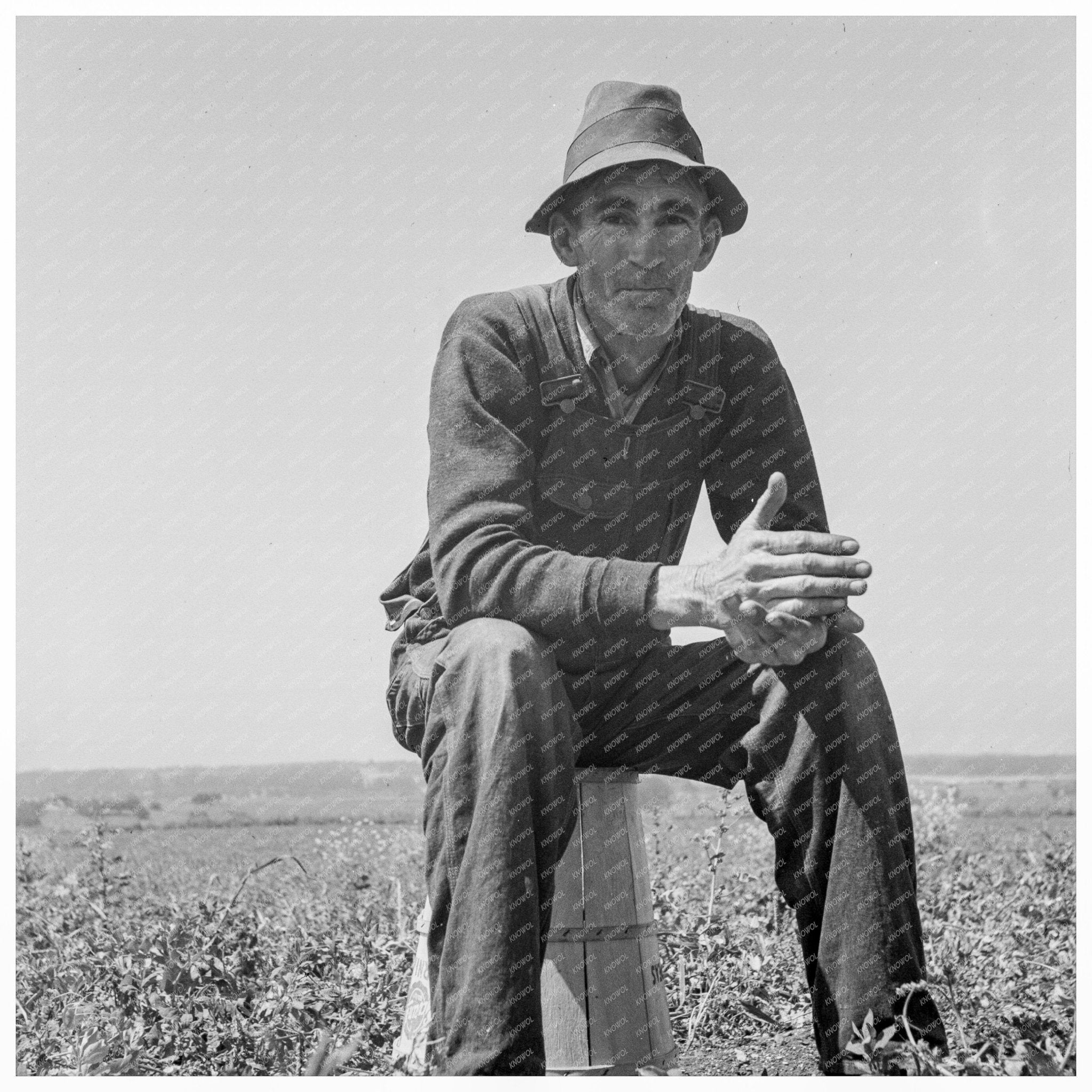 Oklahoma Strawberry Grower Migrates to California 1937 - Available at KNOWOL