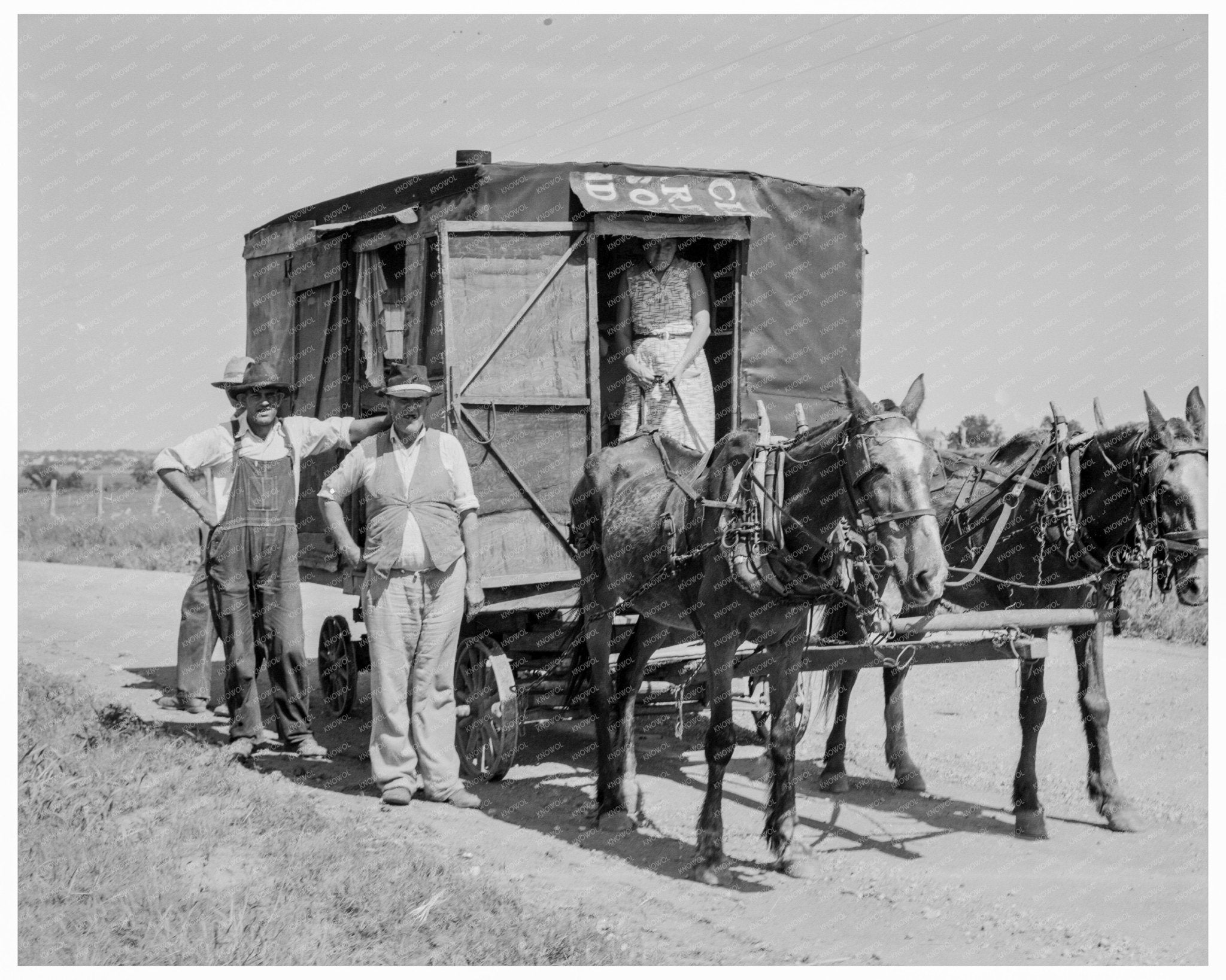 Oklahoma Wheat Harvest Scene June 1937 - Available at KNOWOL