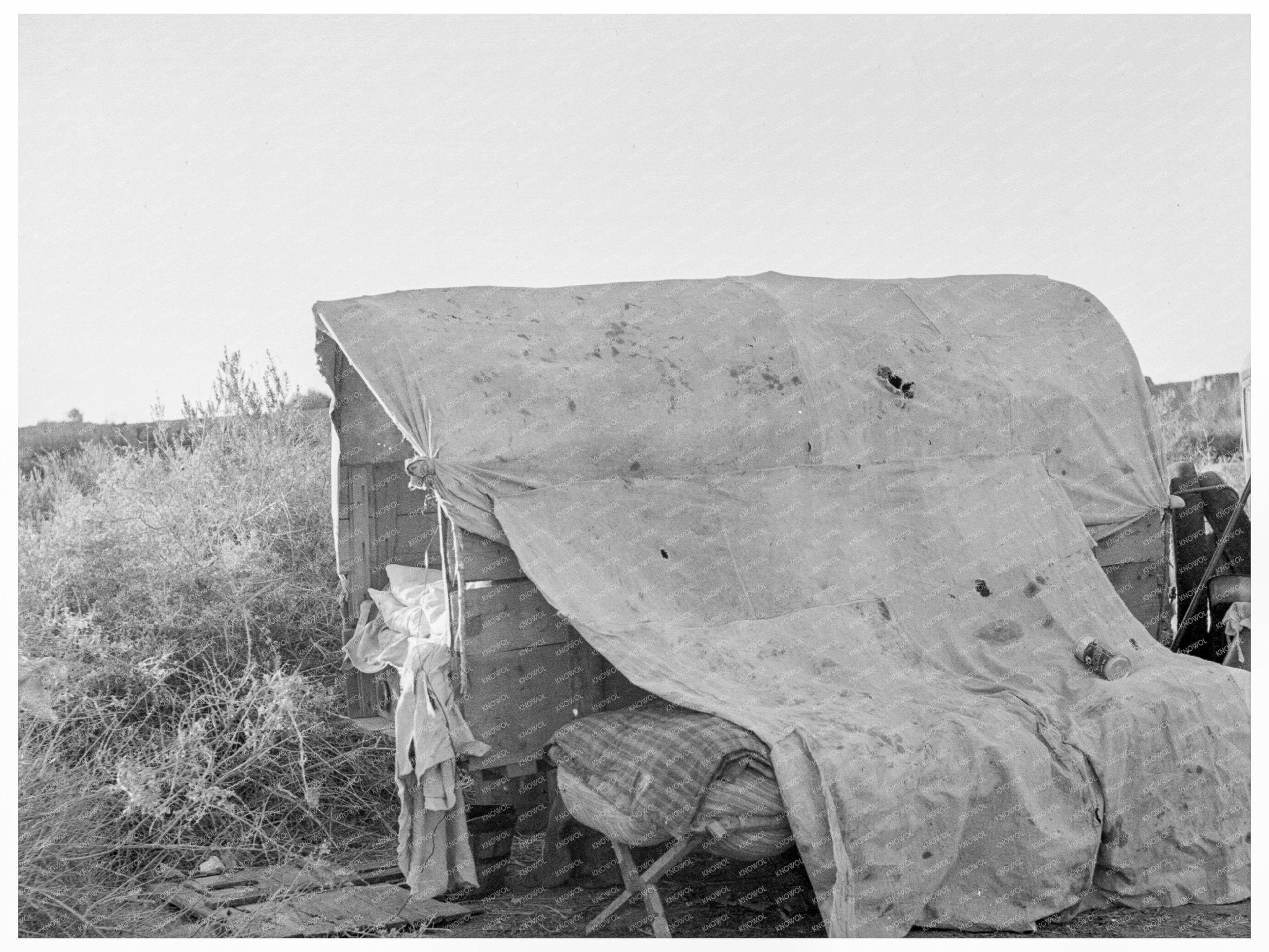 Oklahoman Migrants Camp on River Bottom March 1937 - Available at KNOWOL