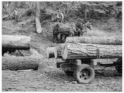 Ola Sawmill Co - op Members Handle Fir Log Gem County 1939 - Available at KNOWOL