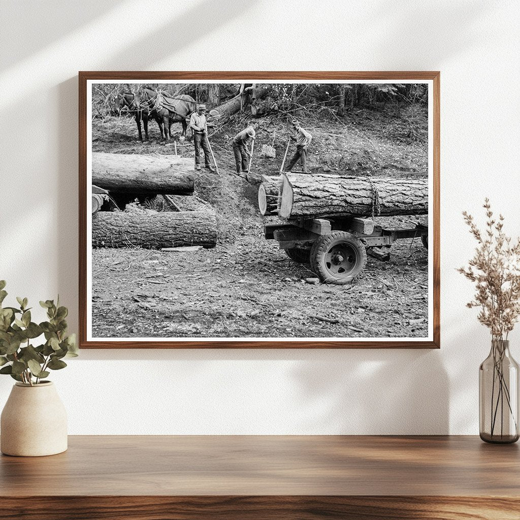 Ola Sawmill Co - op Members Rolling Fir Log October 1939 - Available at KNOWOL