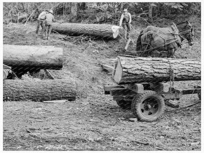 Ola Sawmill Co - op Members Rolling White Fir Log 1939 - Available at KNOWOL