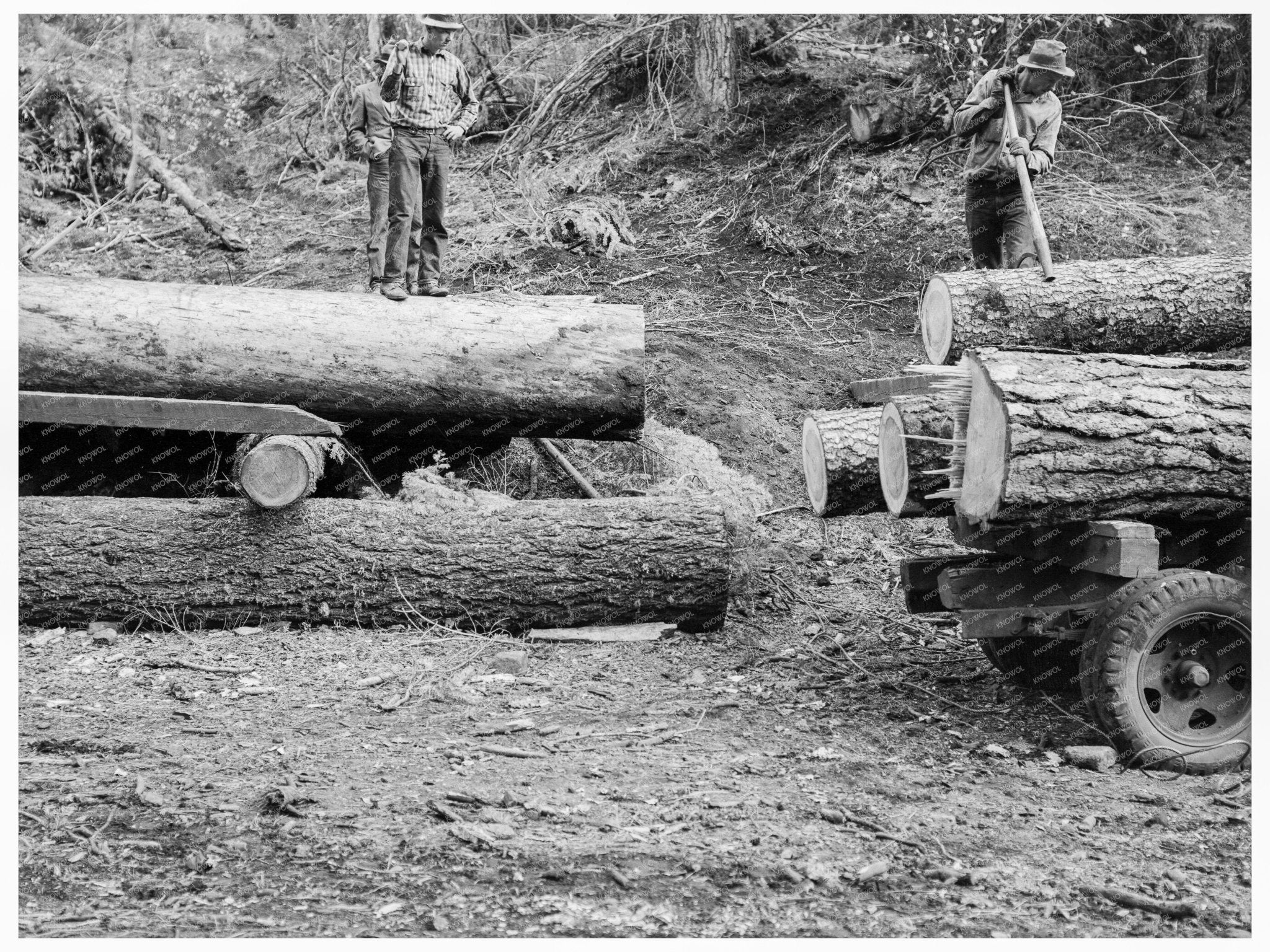 Ola Sawmill Cooperative Idaho October 1939 Vintage Photo - Available at KNOWOL