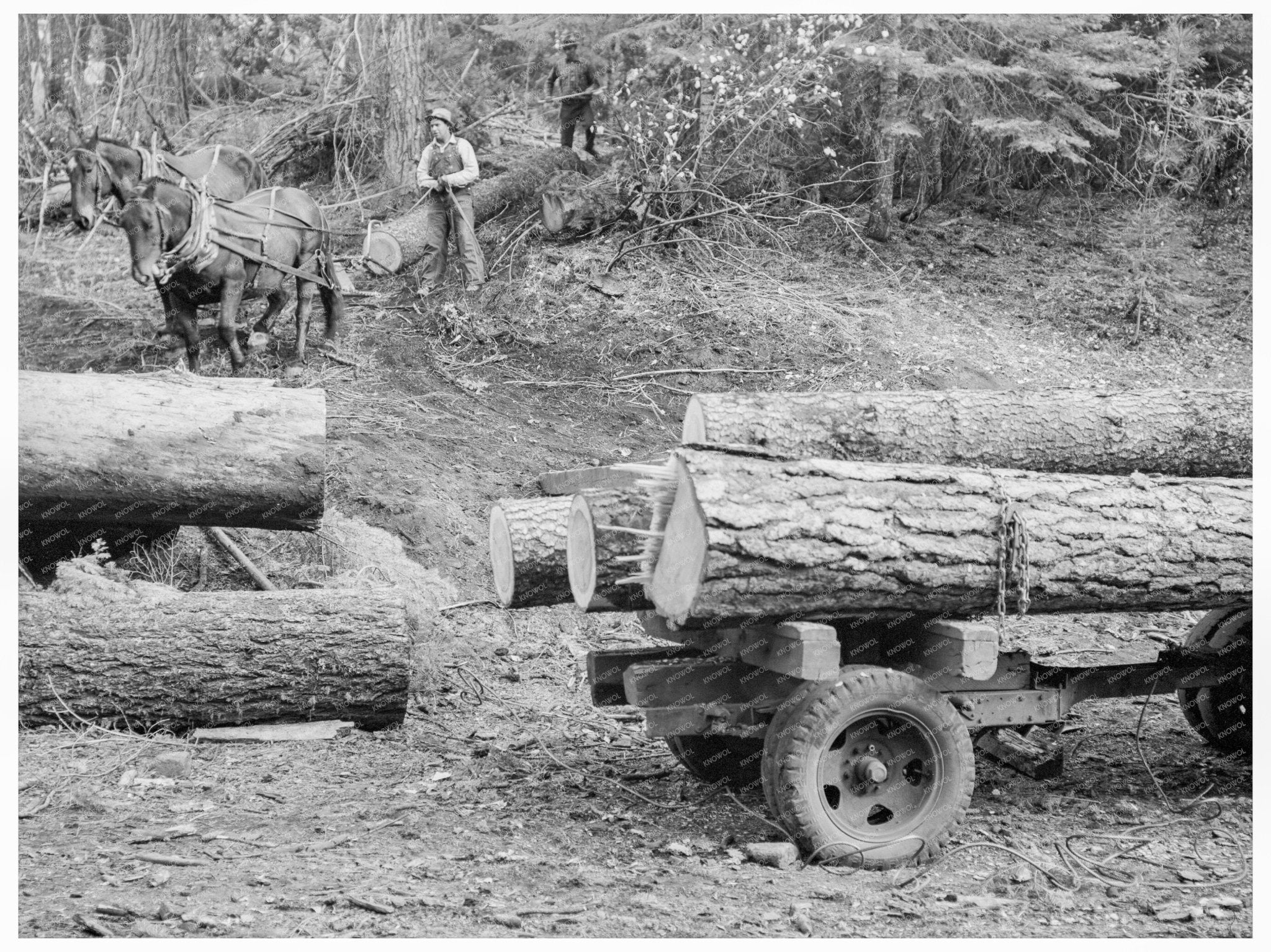 Ola Sawmill Cooperative Members October 1939 Idaho - Available at KNOWOL