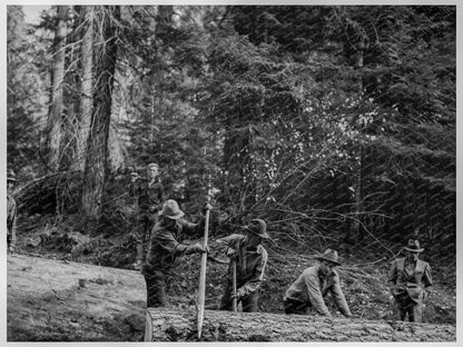 Ola Sawmill Cooperative Moving White Fir Log 1939 - Available at KNOWOL