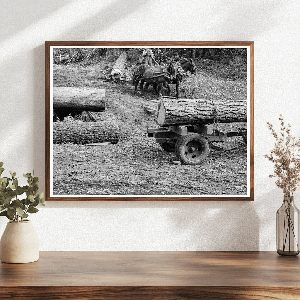 Ola Sawmill Cooperative Transporting Fir Log 1939 - Available at KNOWOL