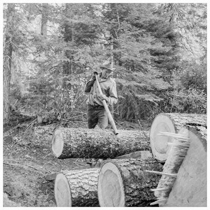 Ola Sawmill Worker Rolling Log Gem County Idaho 1939 - Available at KNOWOL