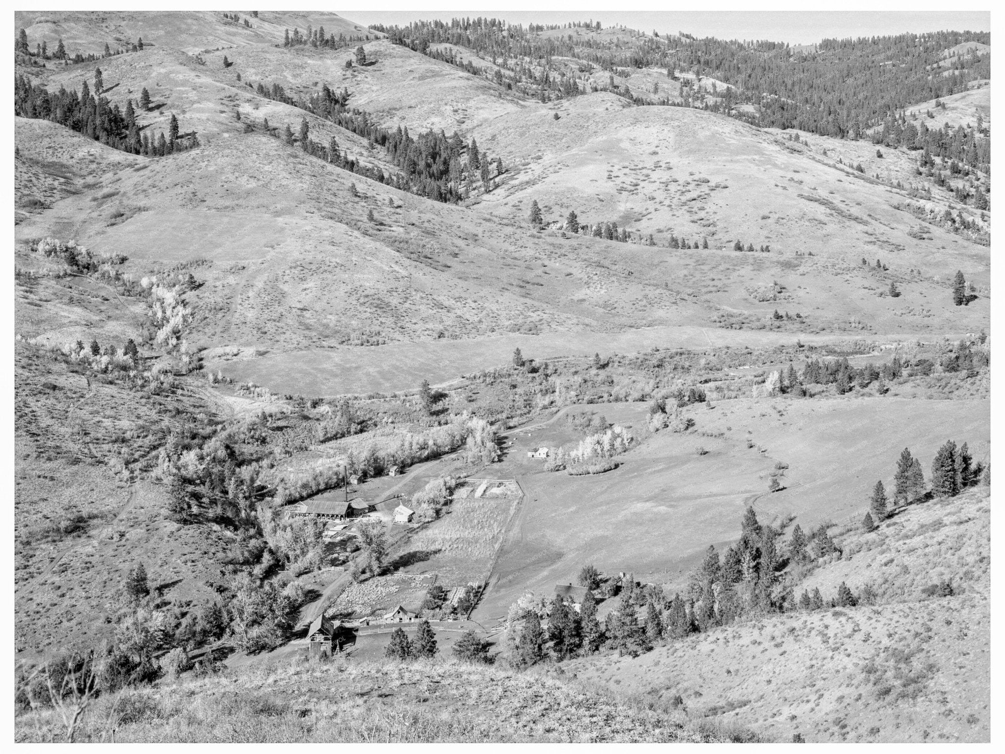 Ola Self - Help Co - Op Mill Gem County Idaho 1939 - Available at KNOWOL