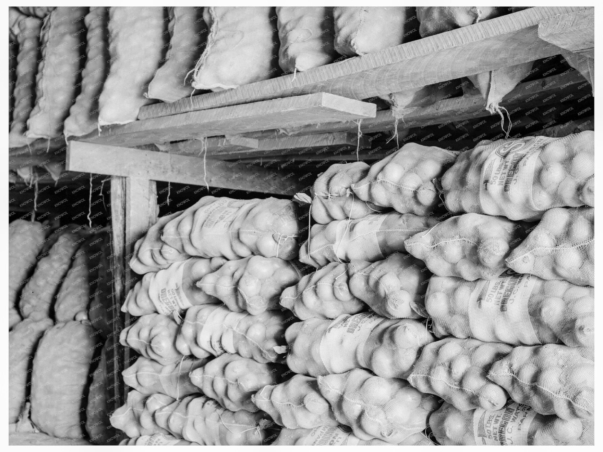 Onion Storage Shed in Malheur County Oregon 1939 - Available at KNOWOL