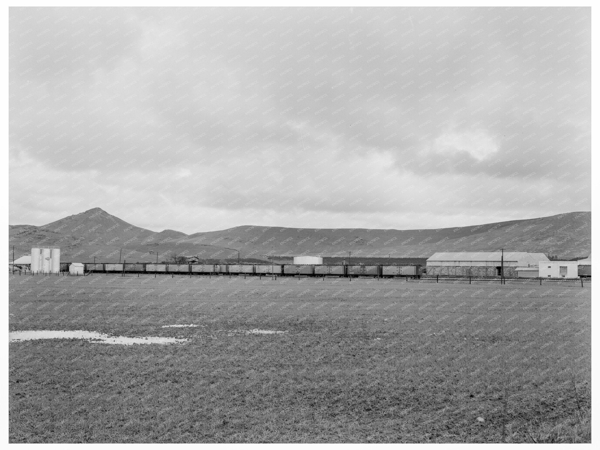 Orange Packing Shed in Strathmore California 1939 - Available at KNOWOL