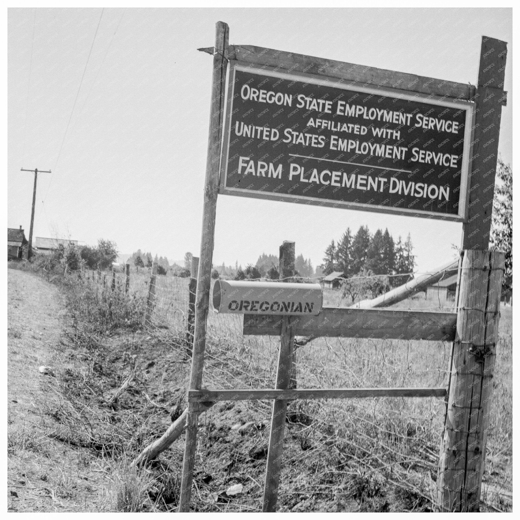 Oregon State Employment Office during Bean Harvest 1939 - Available at KNOWOL