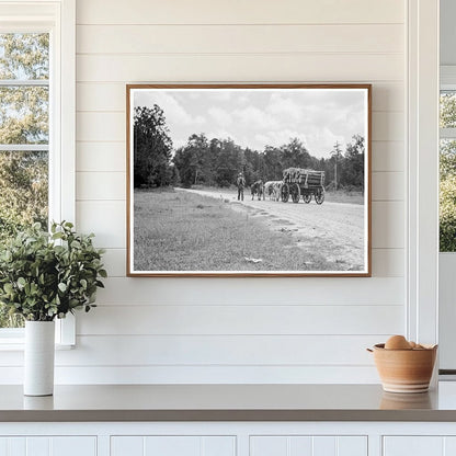 Ox Team Hauling Pulpwood in Mississippi 1937 - Available at KNOWOL