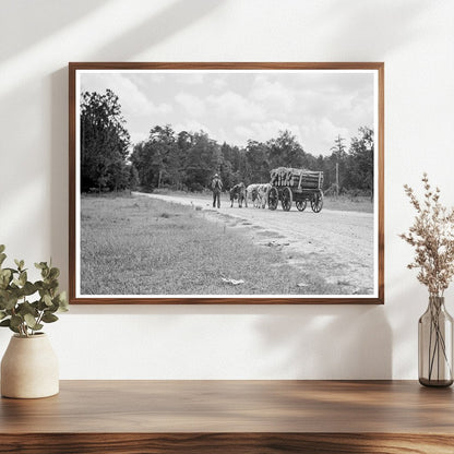 Ox Team Hauling Pulpwood in Mississippi 1937 - Available at KNOWOL