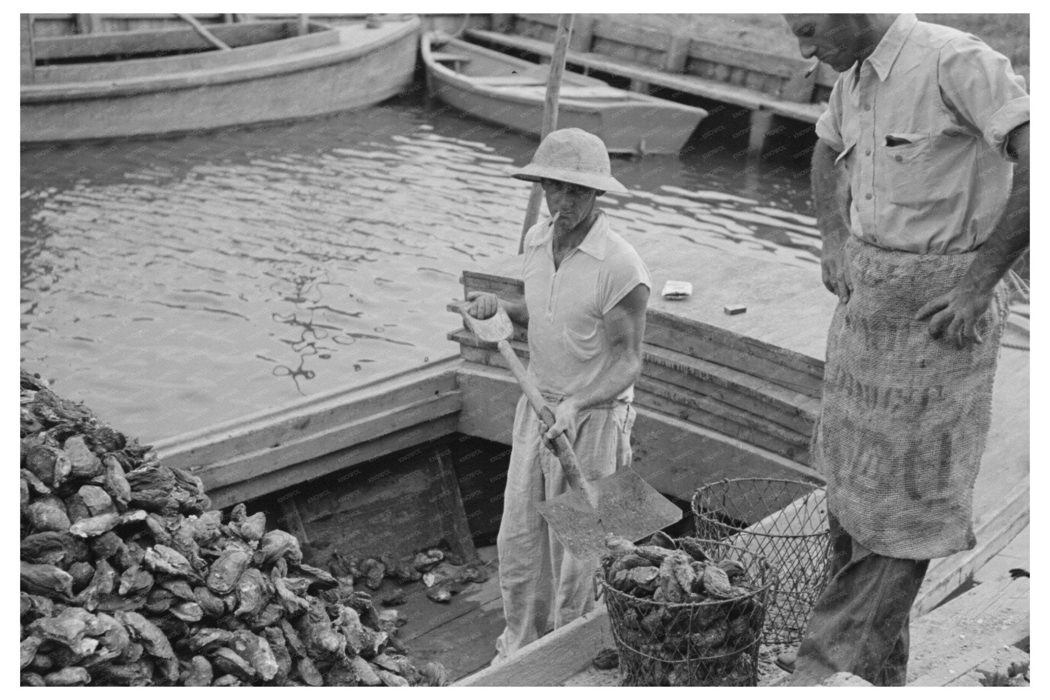 Oyster Dumping Scene in Olga Louisiana September 1938 - Available at KNOWOL