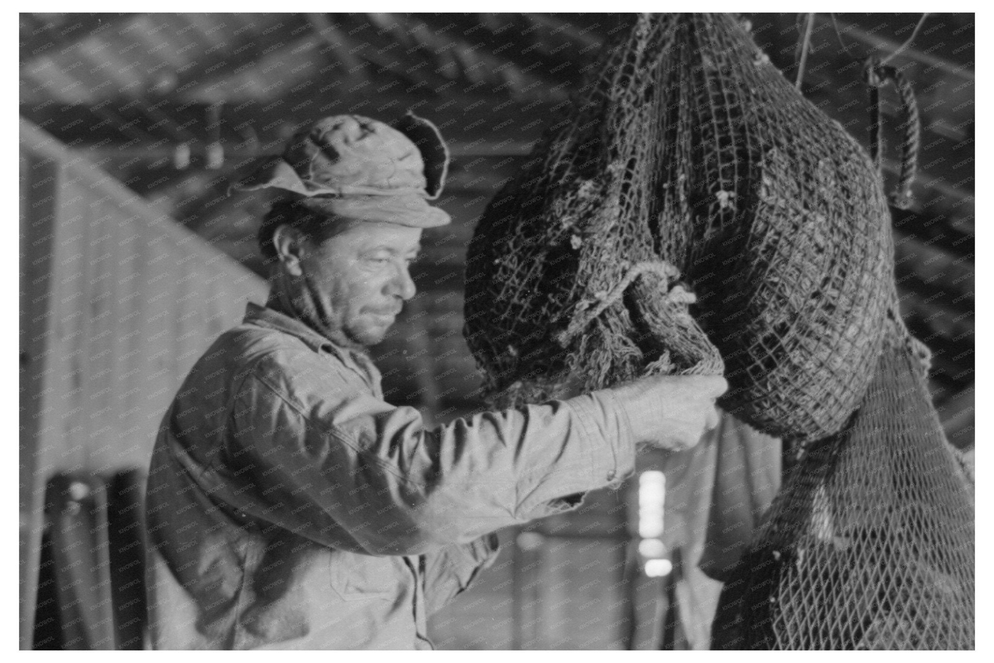 Oyster Harvesting in Olga Louisiana 1938 - Available at KNOWOL