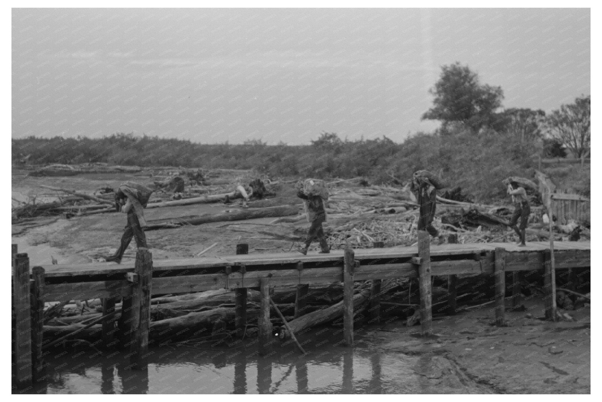 Oyster Unloading at New Orleans Dock September 1938 - Available at KNOWOL