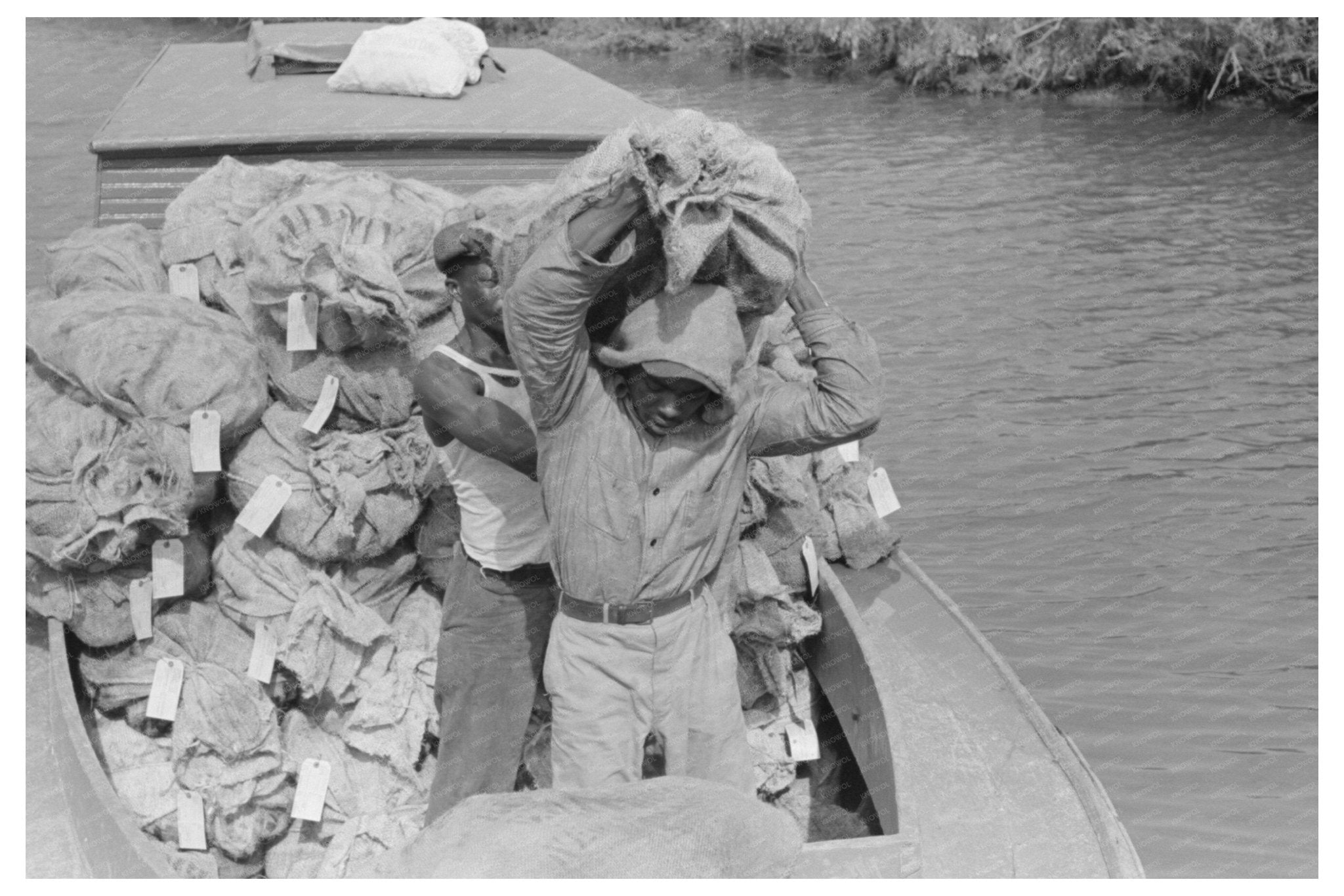 Oyster Unloading at Olga Louisiana Waterfront September 1938 - Available at KNOWOL