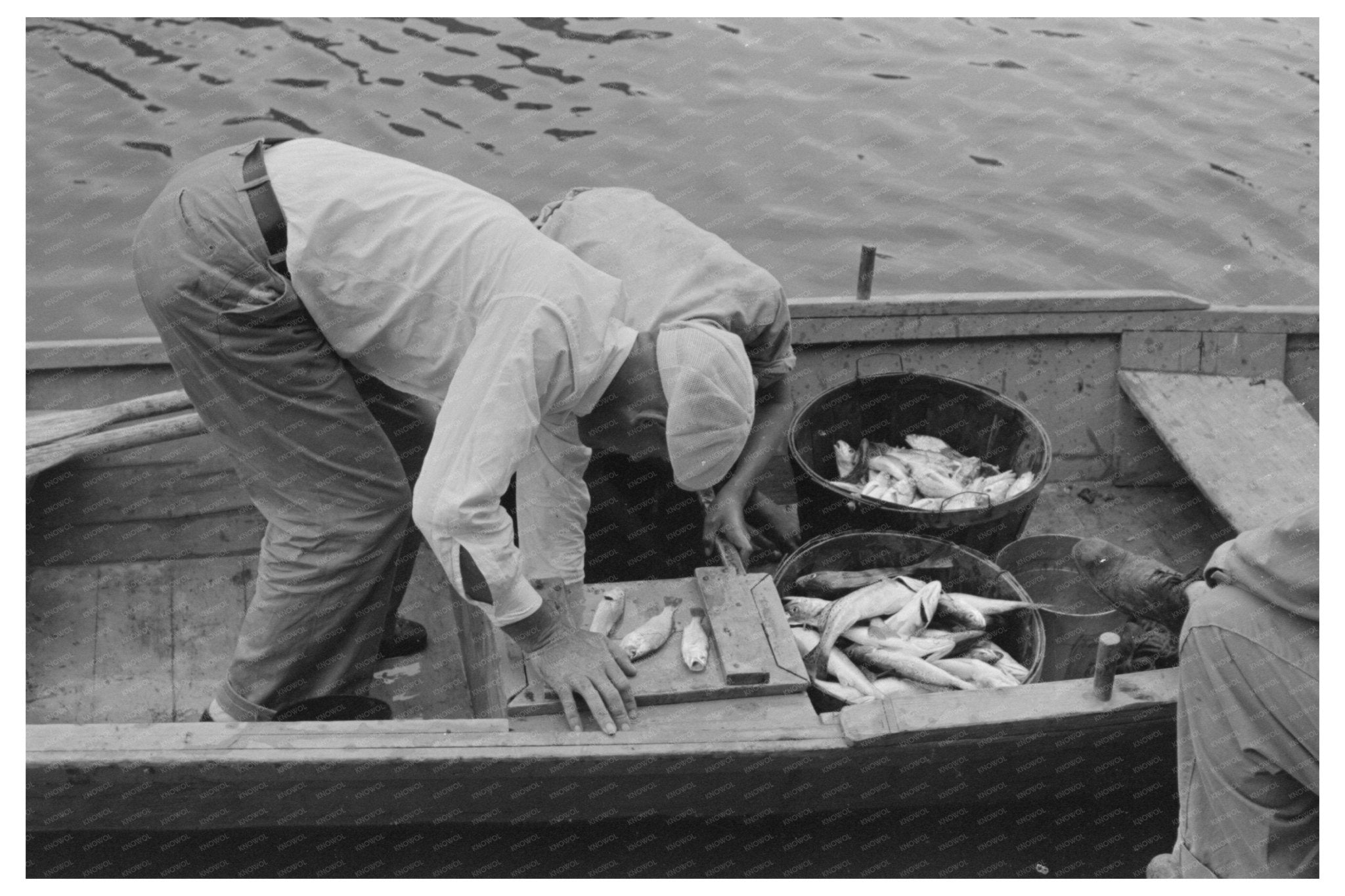 Oyster Unloading in Olga Louisiana September 1938 - Available at KNOWOL