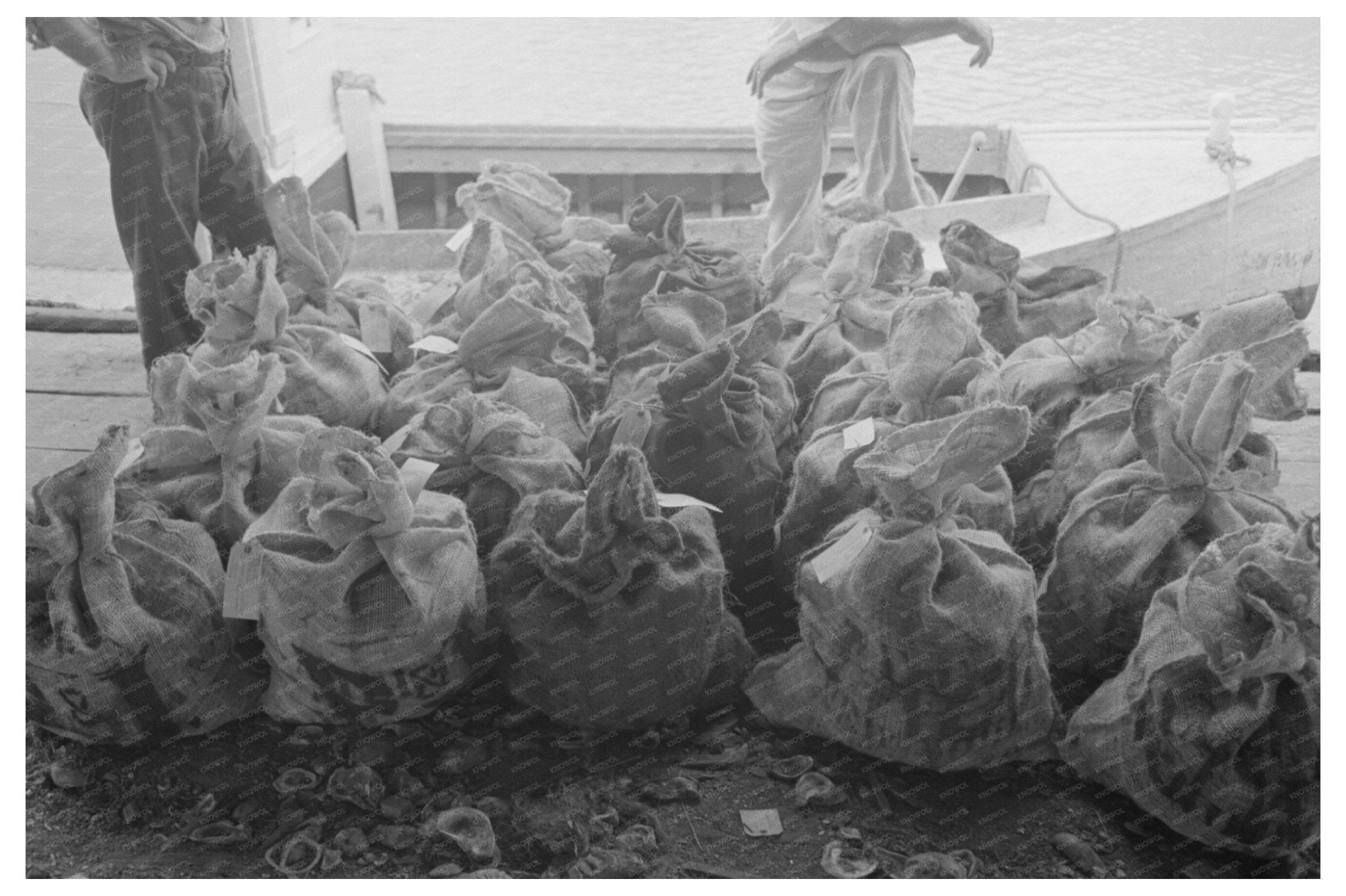 Oysters for Sale at Olga Louisiana Waterfront 1938 - Available at KNOWOL