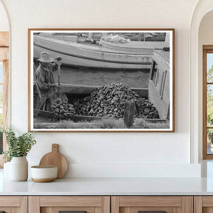 Oysters Unloaded from Fishermans Boat in Olga 1938 - Available at KNOWOL