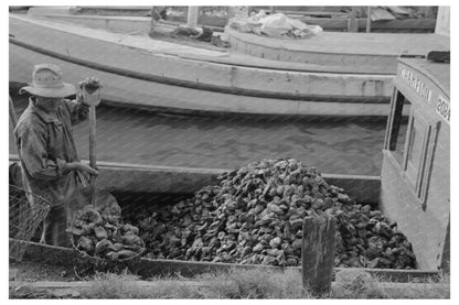 Oysters Unloaded from Fishermans Boat in Olga 1938 - Available at KNOWOL