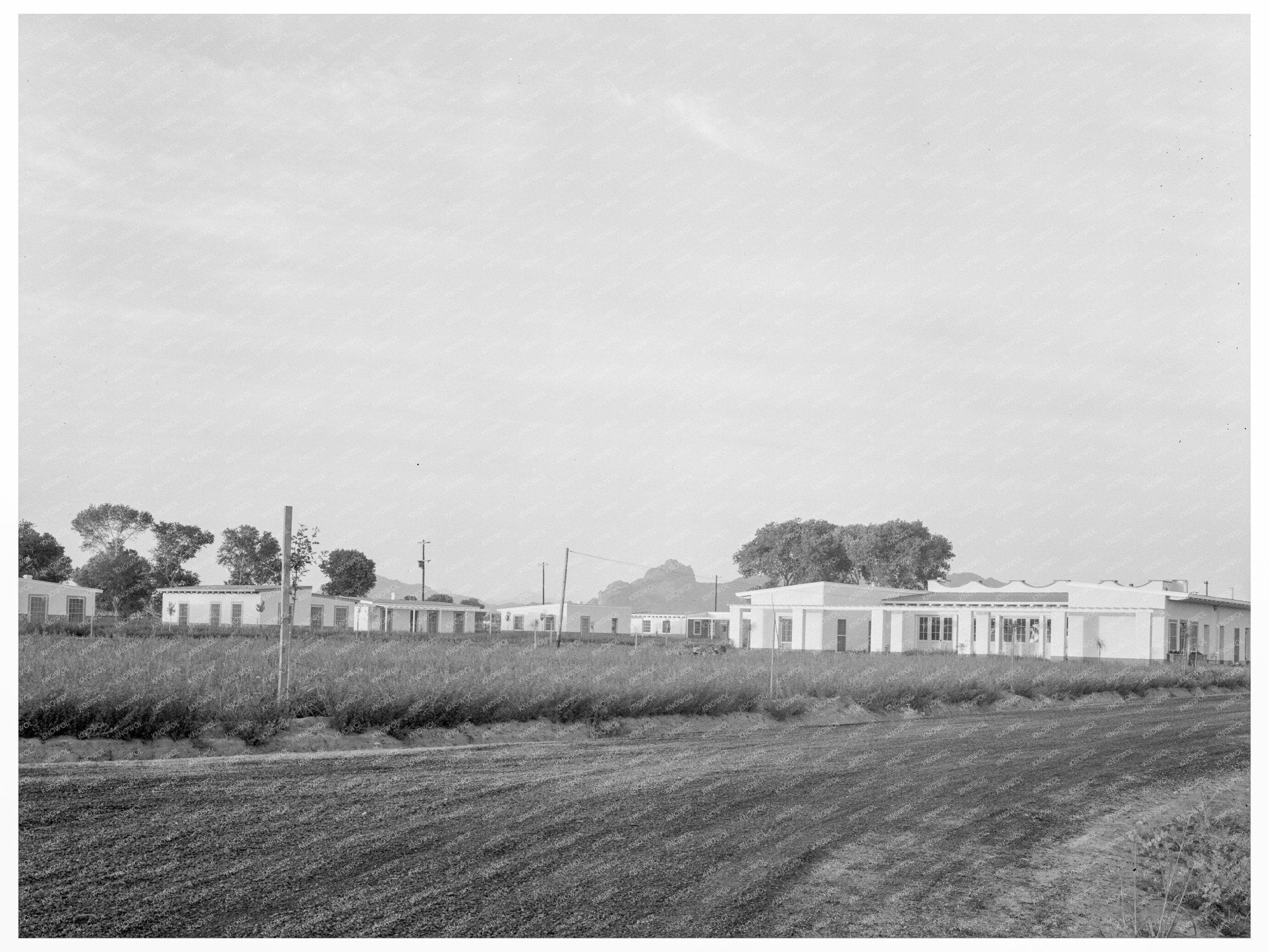 Part - Time Farms in Glendale Arizona May 1937 - Available at KNOWOL