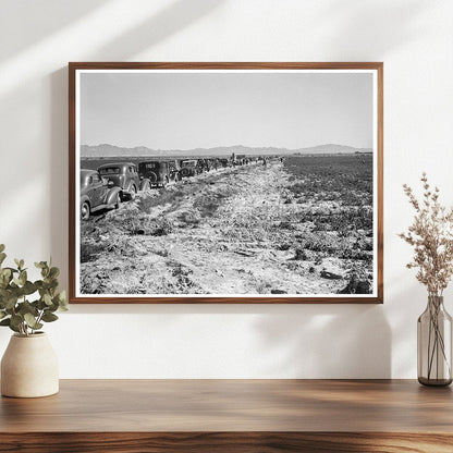 Pea Field Harvest at Sinclair Ranch California 1939 - Available at KNOWOL