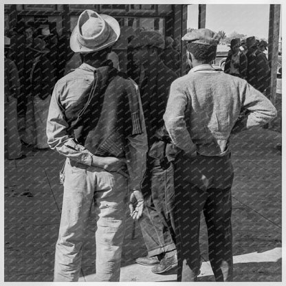 Pea Harvest in Calipatria California 1938 FSA Grant Office - Available at KNOWOL