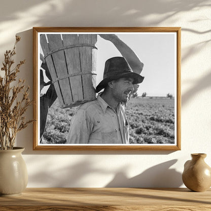 Pea Harvest Weighing in Calipatria California 1939 - Available at KNOWOL