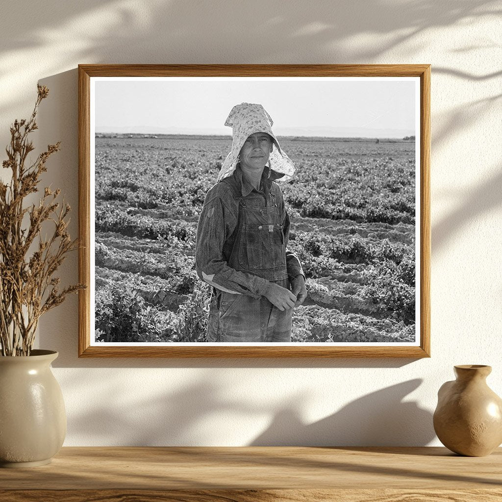 Pea Picker in Calipatria California February 1939 - Available at KNOWOL