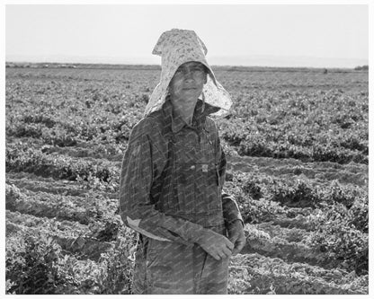 Pea Picker in Calipatria California February 1939 - Available at KNOWOL