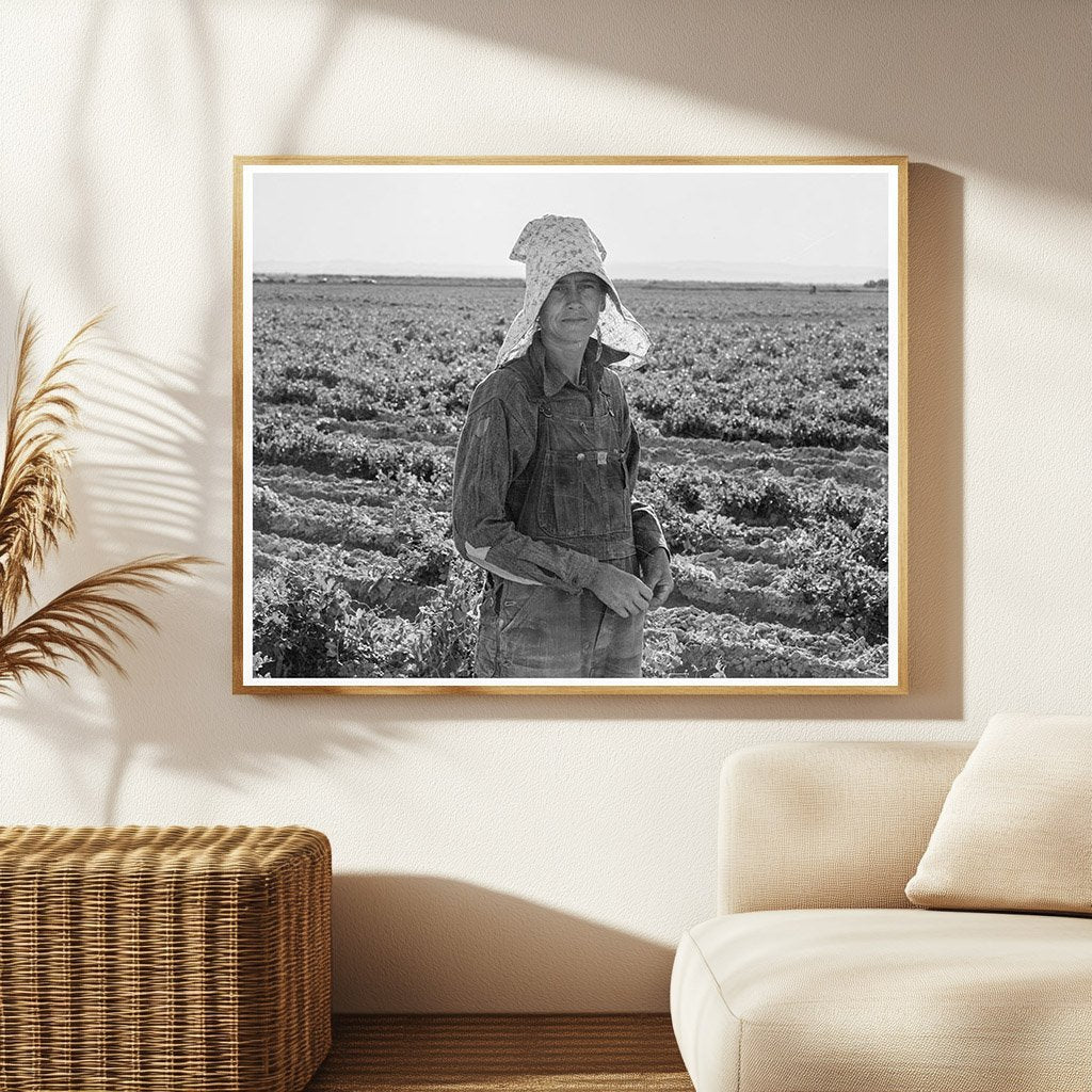 Pea Picker in Calipatria California February 1939 - Available at KNOWOL