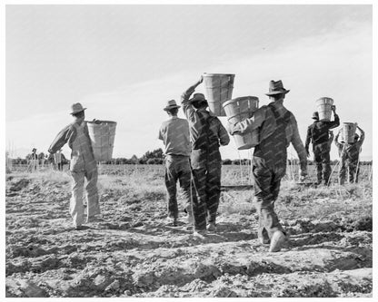 Pea Pickers After Work in California 1939 - Available at KNOWOL