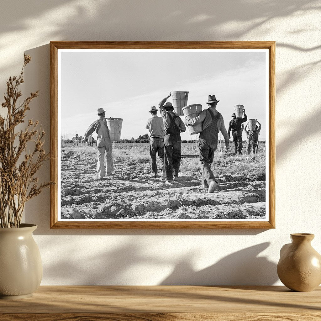 Pea Pickers After Work in California 1939 - Available at KNOWOL