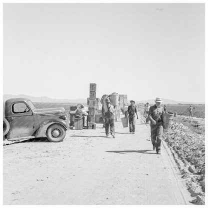 Pea Pickers at Sinclair Ranch California 1939 - Available at KNOWOL