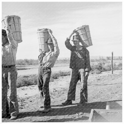 Pea Pickers Returning from Fields Imperial Valley 1939 - Available at KNOWOL