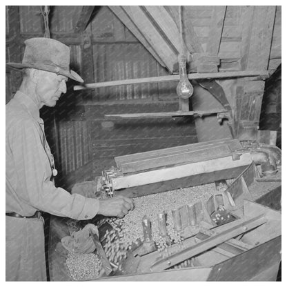 Peanut Grader in Comanche Texas November 1939 - Available at KNOWOL