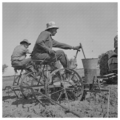 Peanut Planting in Merced County California May 1942 - Available at KNOWOL