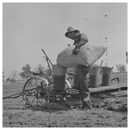 Peanut Sacks on Planter Merced County California 1942 - Available at KNOWOL