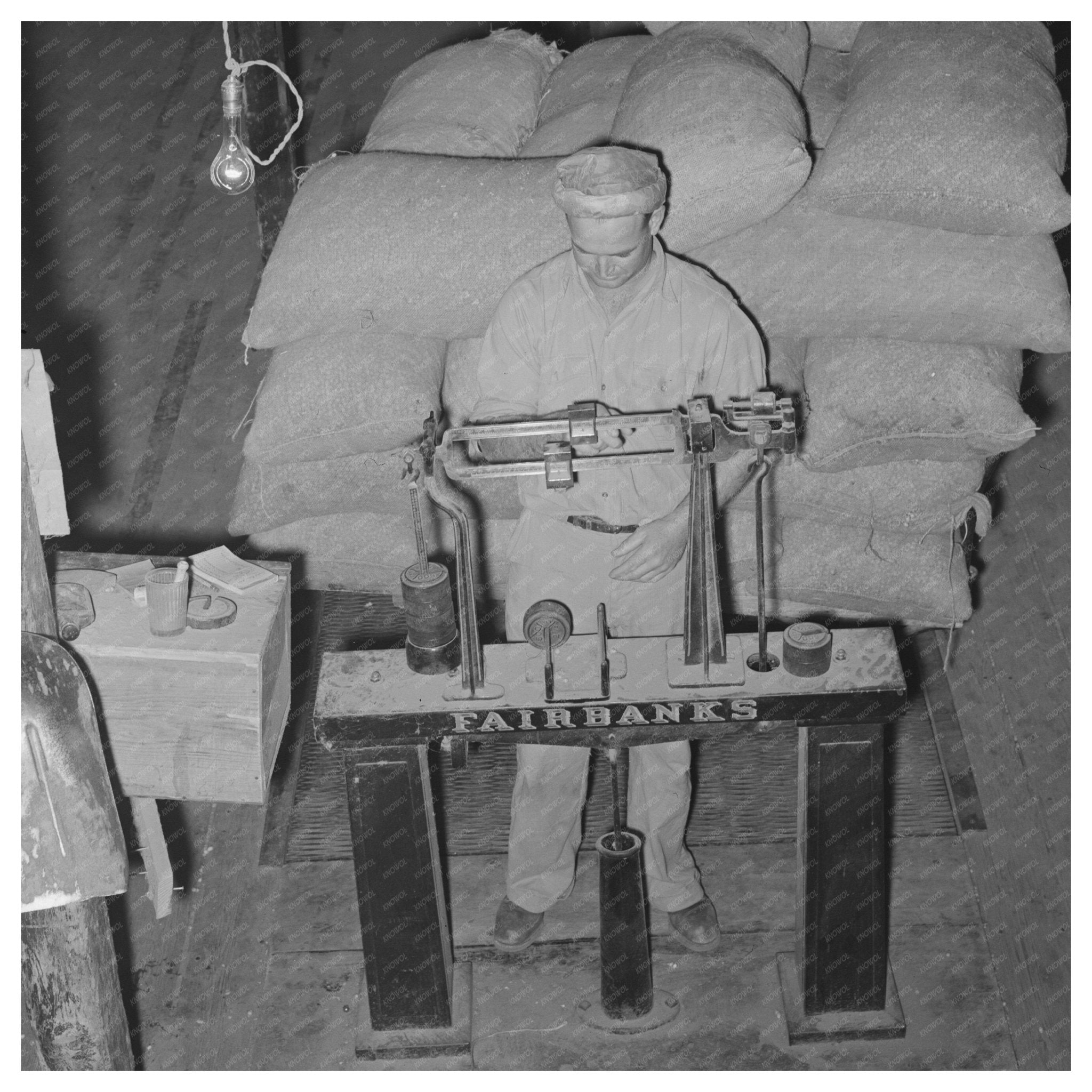 Peanut Shelling Worker in Comanche Texas November 1939 - Available at KNOWOL