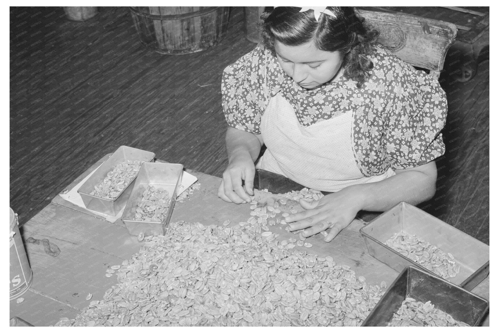 Pecan Meat Classification at San Antonio Shelling Plant 1939 - Available at KNOWOL