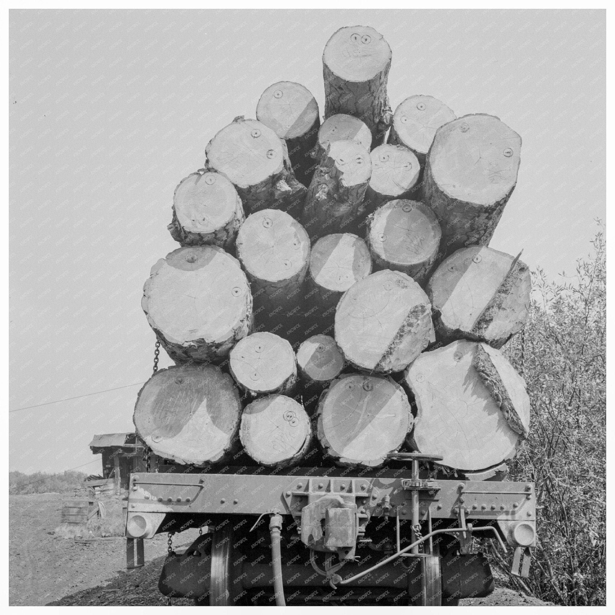 Pelican Bay Lumber Company Klamath County 1939 Image - Available at KNOWOL