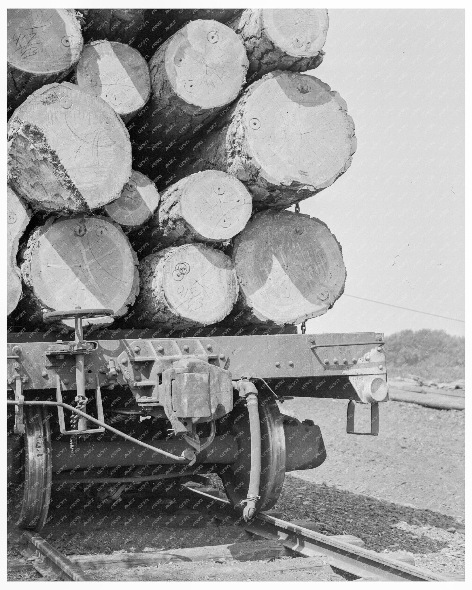 Pelican Bay Lumber Company Logging Operations Klamath County Oregon August 1939 - Available at KNOWOL