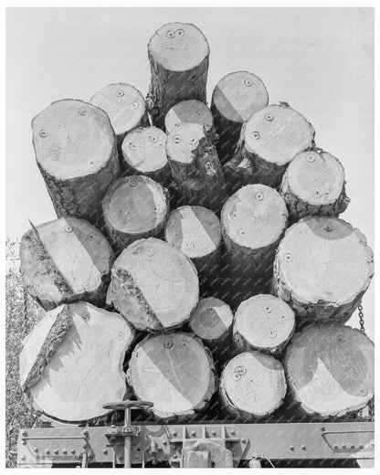 Pelican Bay Lumber Company Logs Transported to Mill Pond August 1939 - Available at KNOWOL