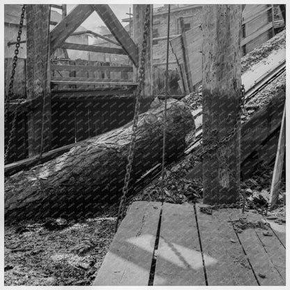 Pelican Bay Lumber Mill Logs August 1939 Klamath Falls Oregon - Available at KNOWOL