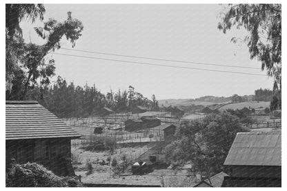 Petaluma Chicken Houses Sonoma County January 1942 - Available at KNOWOL