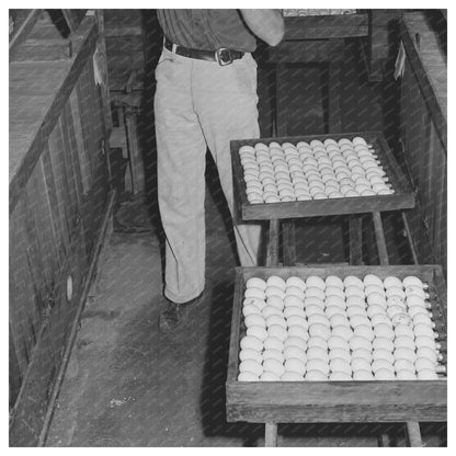 Petaluma Egg Incubator Hatchery 1942 - Available at KNOWOL