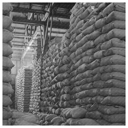 Petaluma Feed Warehouse California January 1942 - Available at KNOWOL